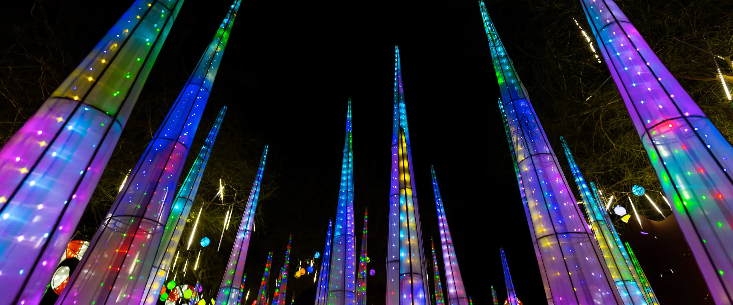 Bramble & Wood Events at Woodland Park Zoo