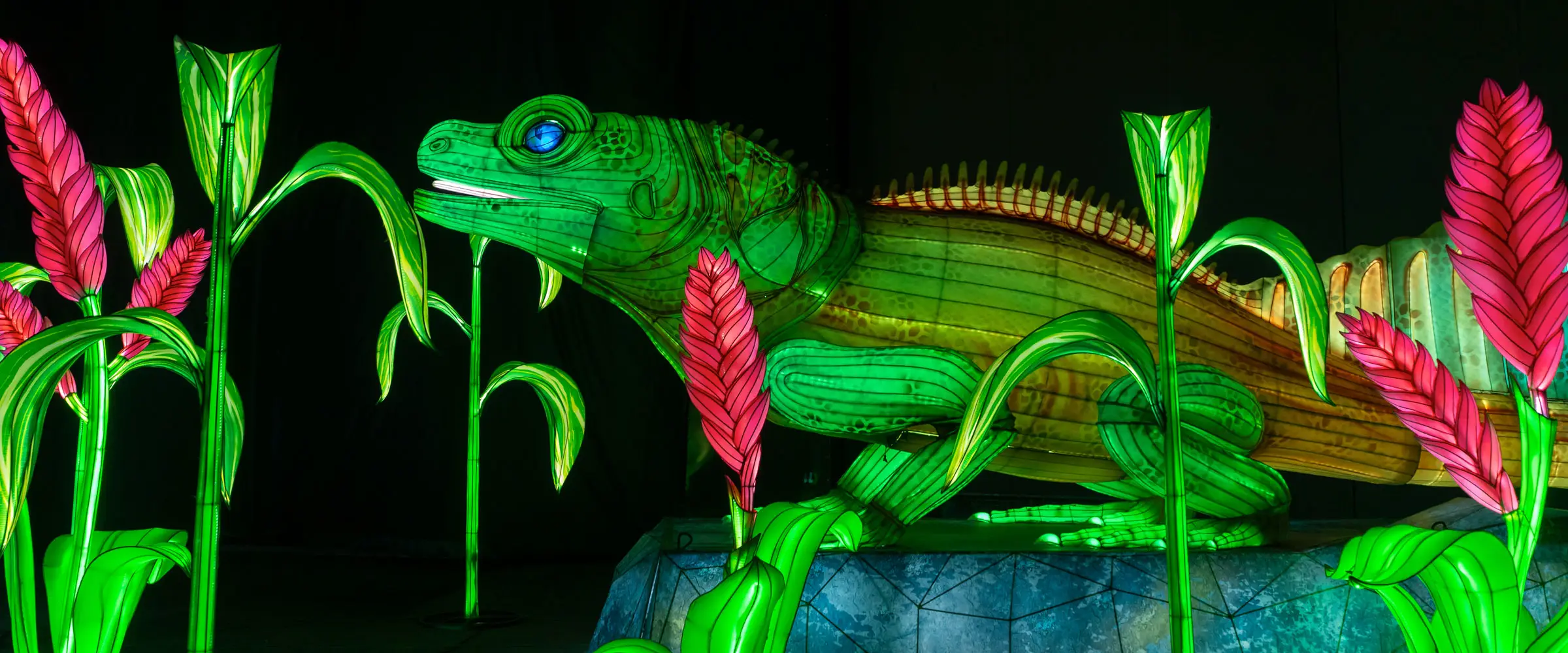 Bramble & Wood Events at Woodland Park Zoo