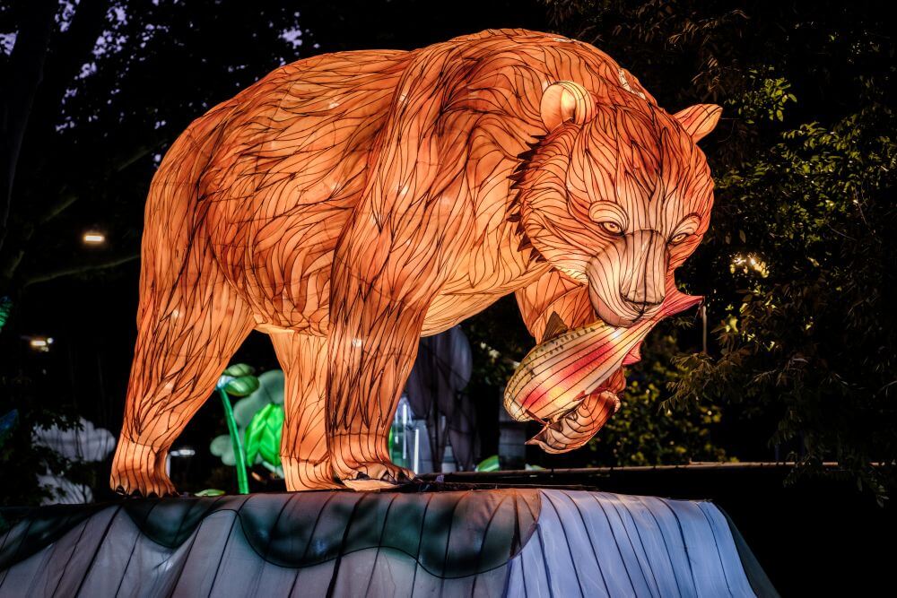 Private Events at WildLanterns Image