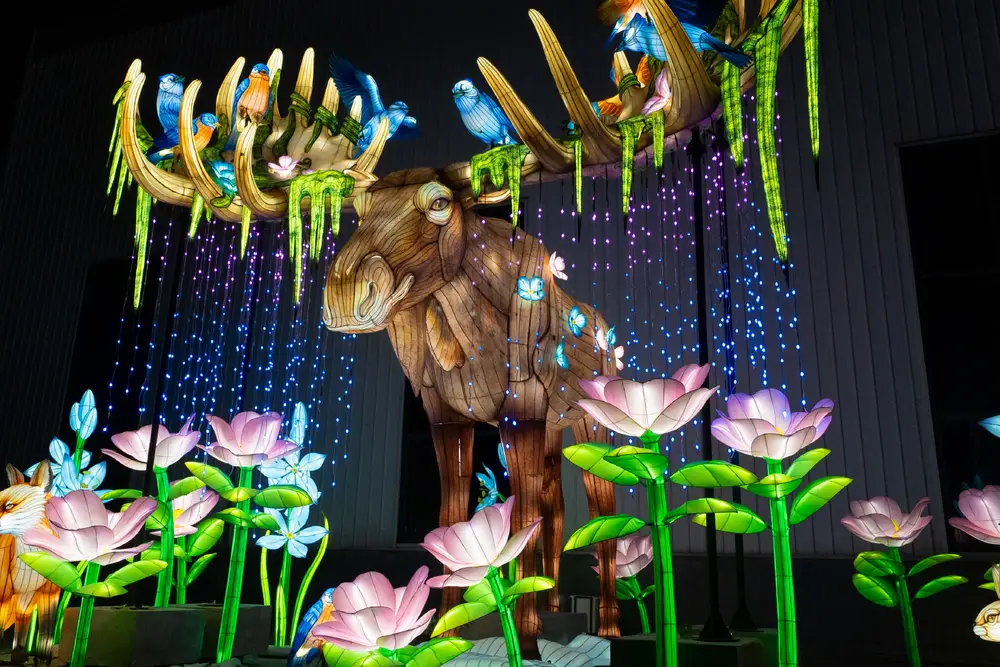 Private Events at WildLanterns Image