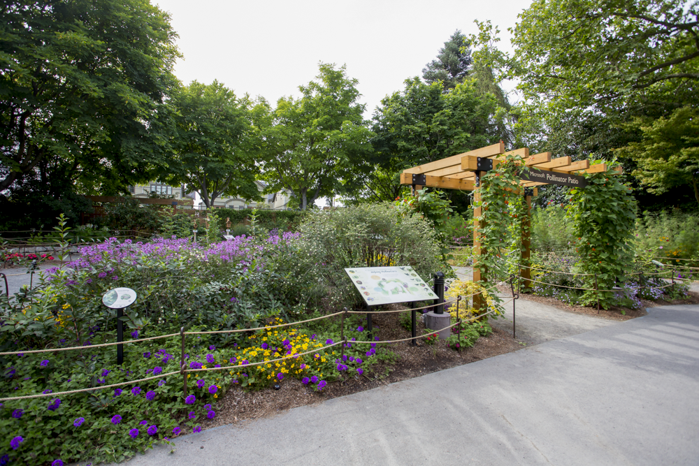 Microsoft Pollinator Patio
