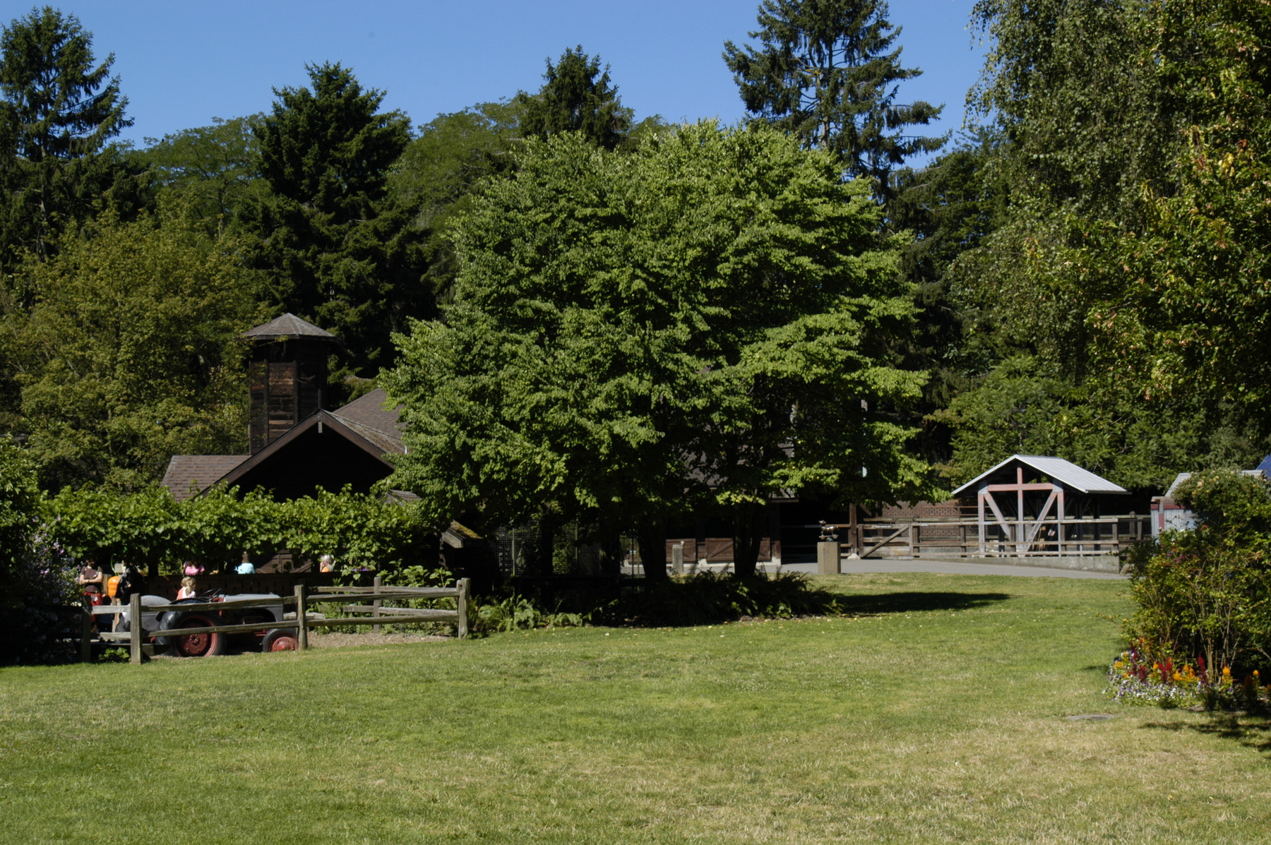 Wild Encounters Lawn on a sunny day