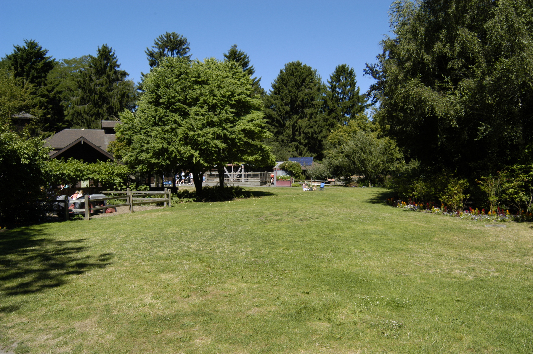 The open lawn on a beautiful sunny day