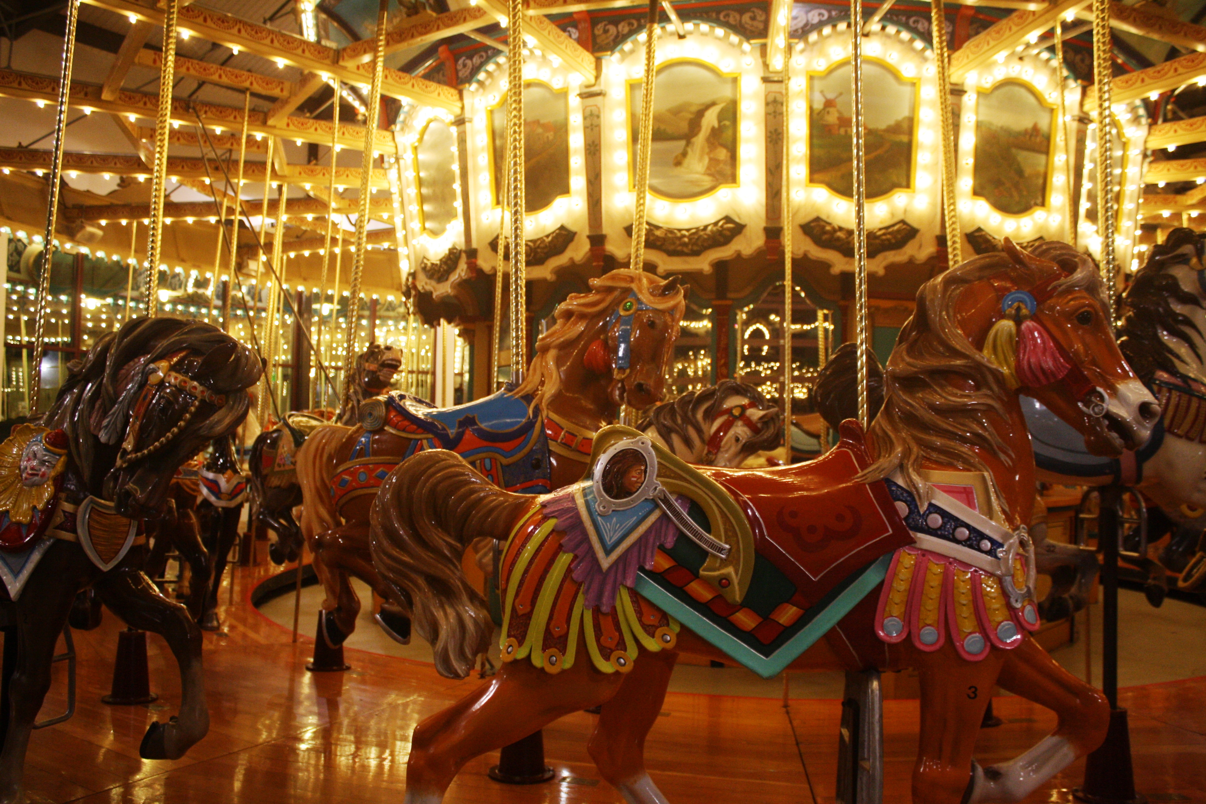 The charming carousel at night