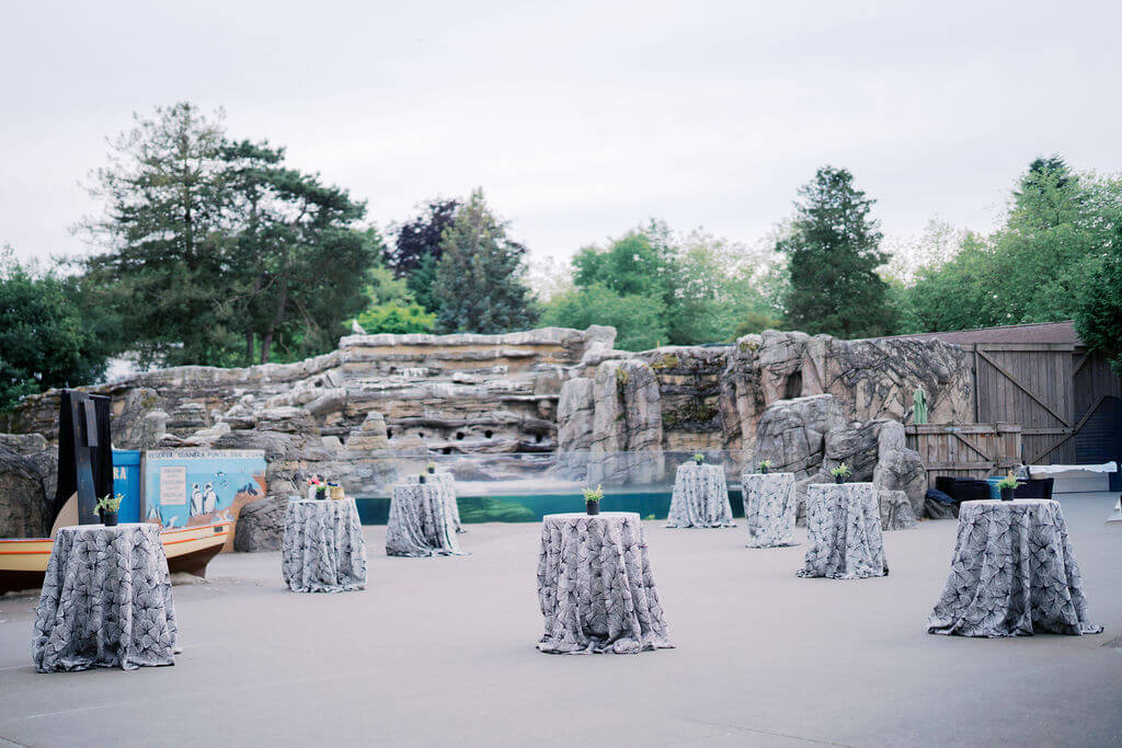 Humboldt Penguin Exhibit