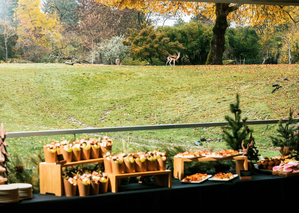View of Savanna exhibit