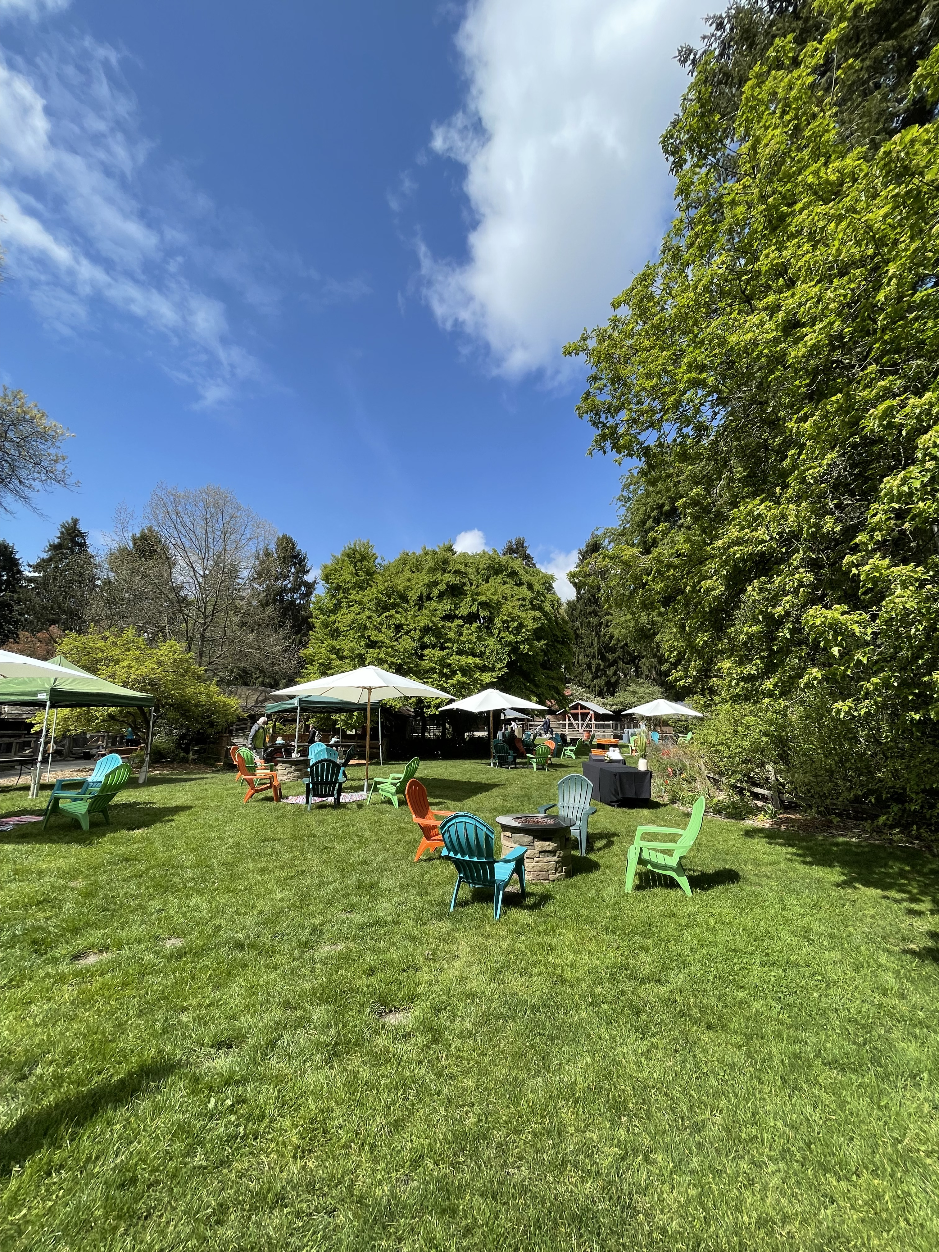 Wild Encounters Lawn with adirondack chairs and tents