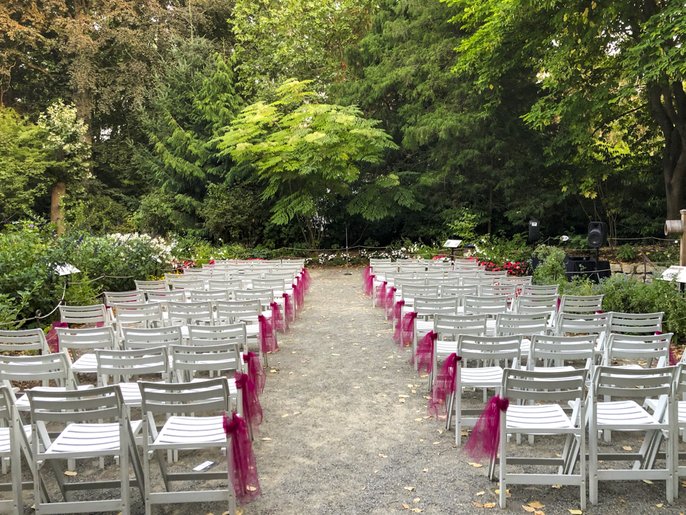 Chairs set-up in garden