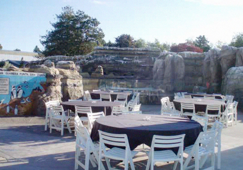 Humboldt Penguin Exhibit