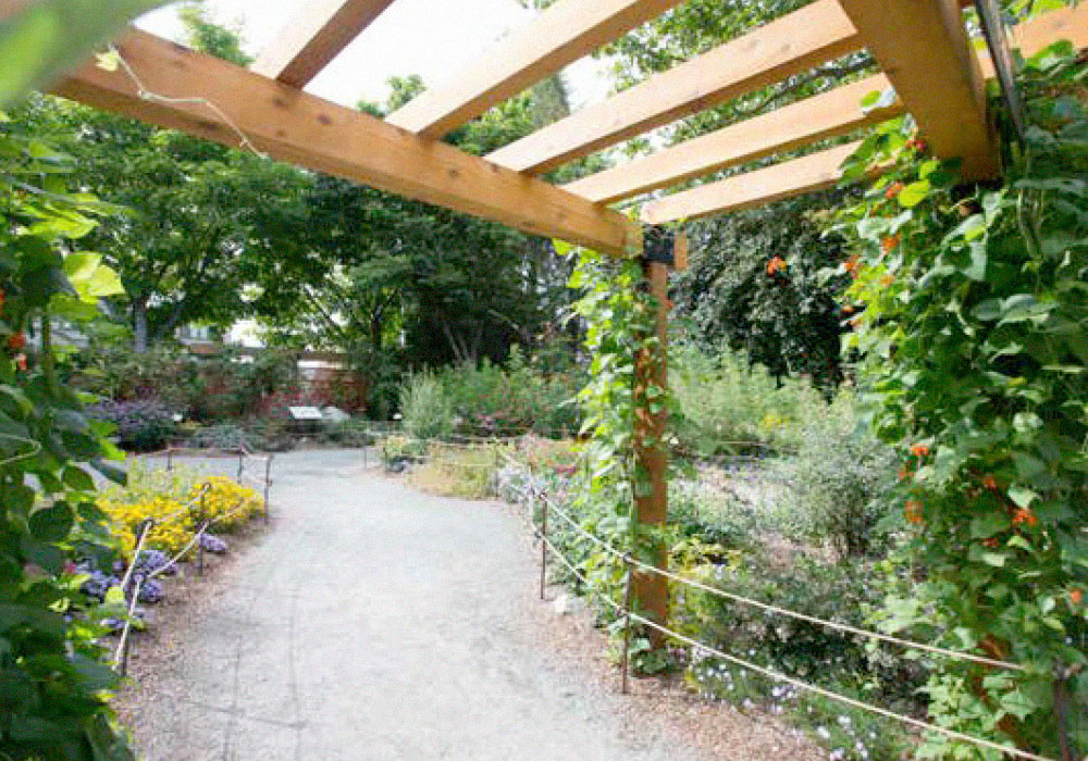 Microsoft Pollinator Patio