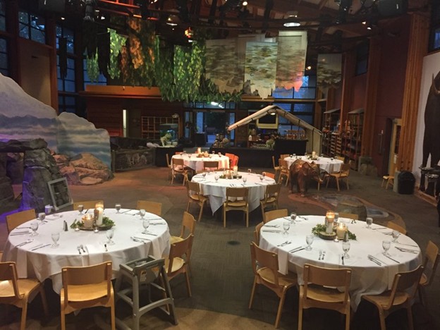 Zoomazium set up with large round tables for an event