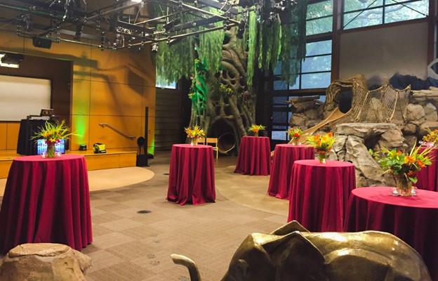 Zoomazium space with cocktail tables